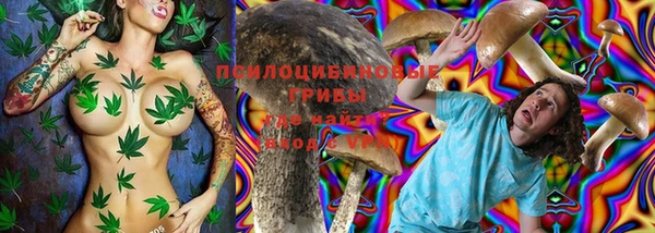 твердый Балахна