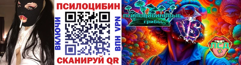 Галлюциногенные грибы Psilocybe Вязьма